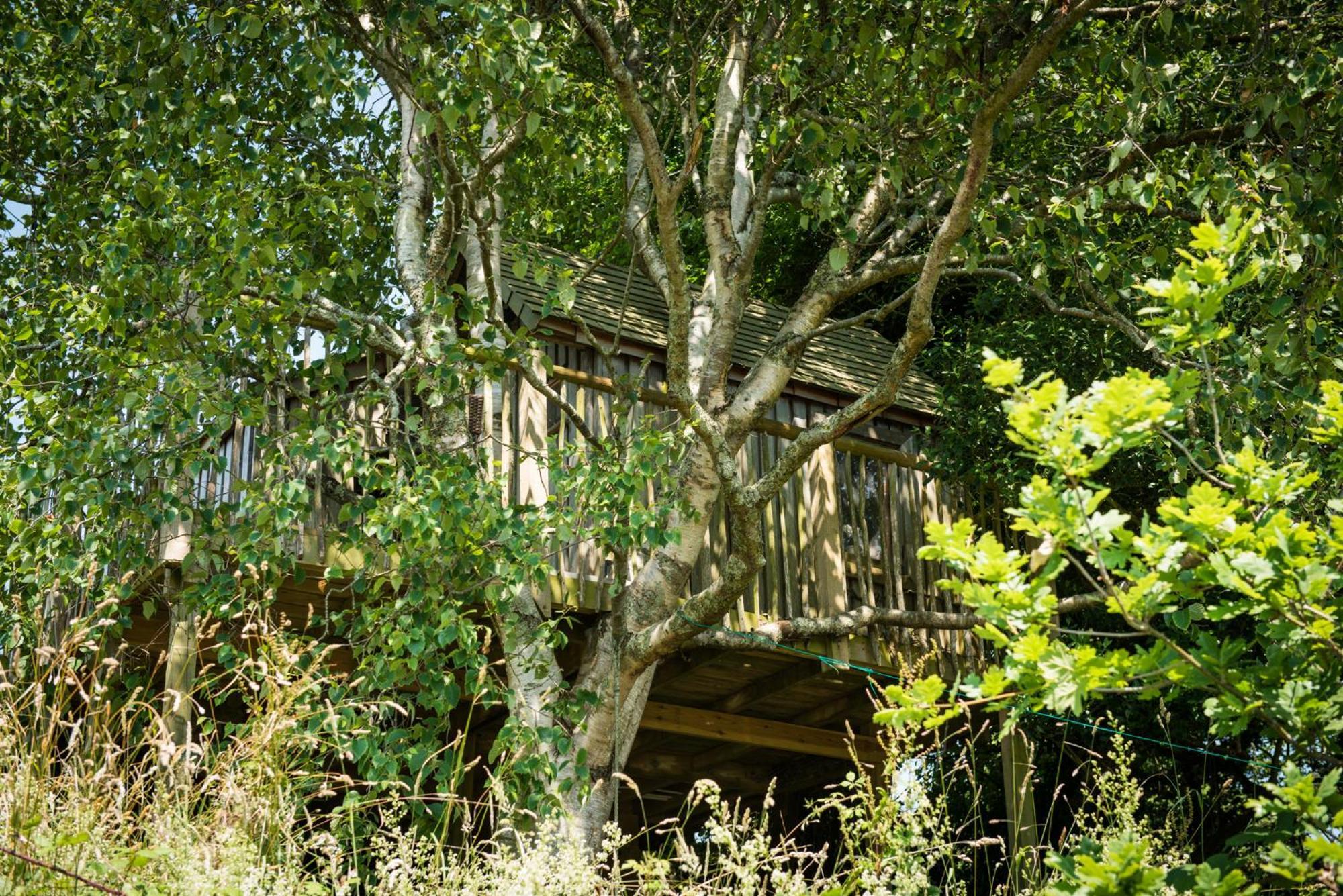 Villa The Treehouse At Salcombe Farm Esterno foto